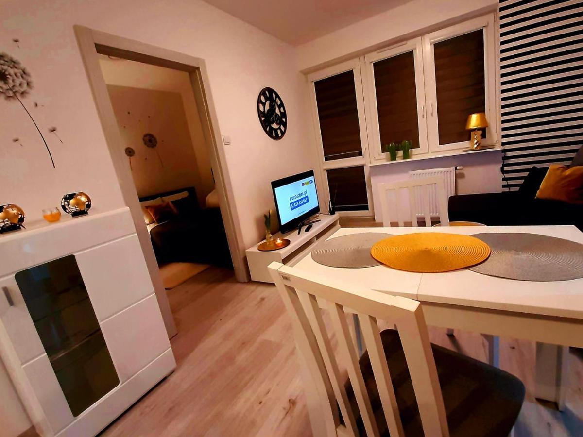 Apartament 60 Plock Luaran gambar