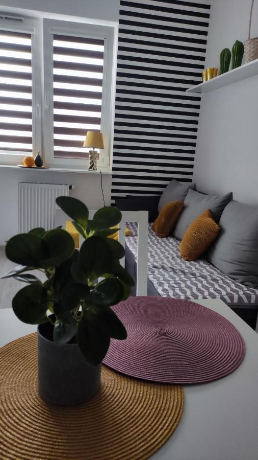 Apartament 60 Plock Luaran gambar